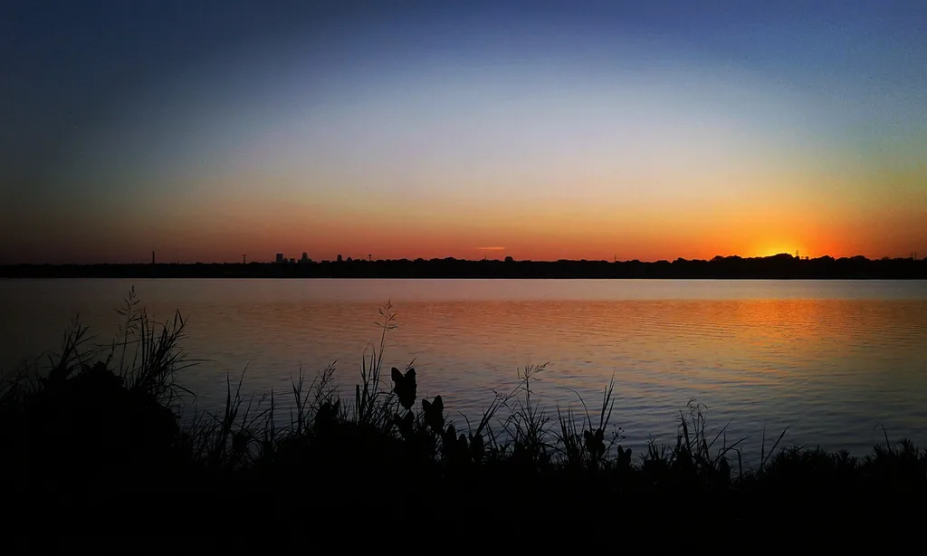 Warm sunset colors reflected on White Rock Lake in Dallas, with grasses along the shoreline.